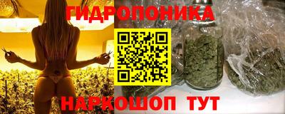 скорость Будённовск