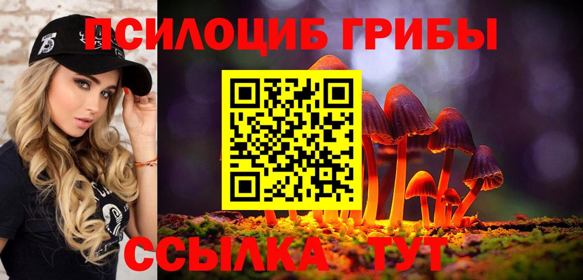 Галлюциногенные грибы Psilocybe Лыткарино