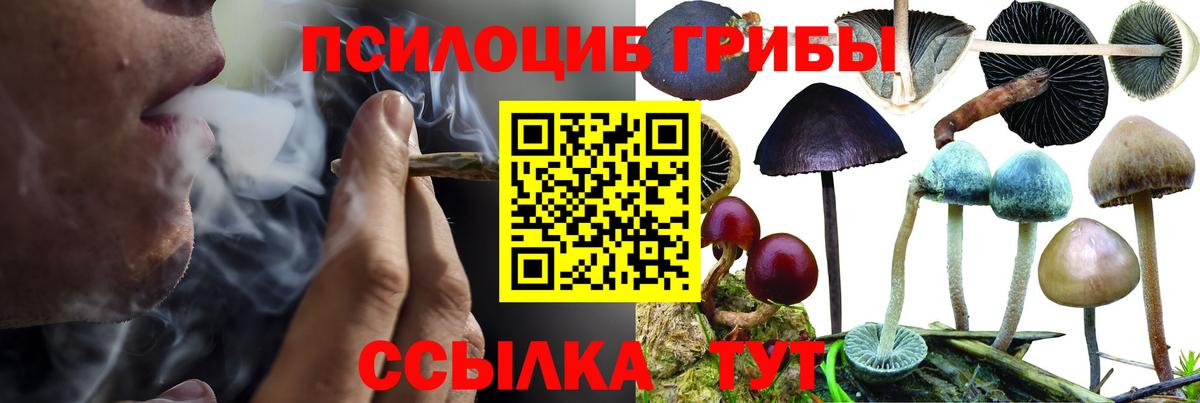 Лыткарино  Галлюциногенные грибы Psilocybe  Псилоцибиновые грибы мицелий  Вход с VPN 